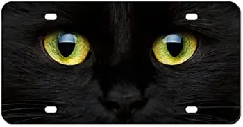 Желтоглазый Черный кот Номерной знак Алюминиевая крышка переднего номерного знака автомобиля Универсальная автомобильная бирка для автомобилей США Мужчины Женщины 6 × 12 дюймов