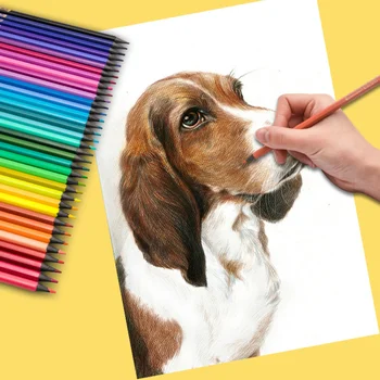 24/36/48 цветов Угольные ручки HB для детей и студентов Принадлежности для рисования Цветные карандаши для начинающих эскизов