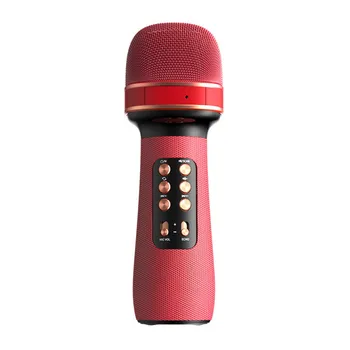 Караоке-Микрофон для Детей, Сабвуферный Микрофон с Автономным Радио, Подарок на Детский День Рождения